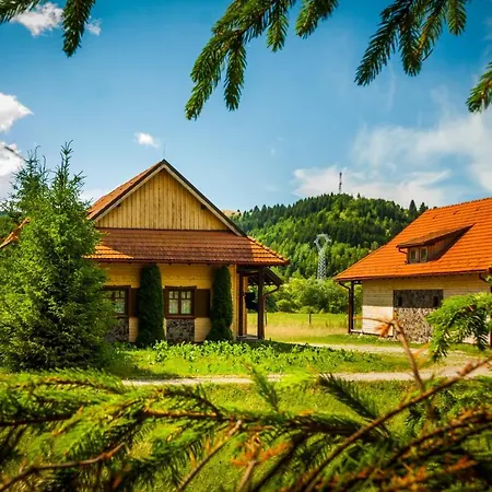 Pensiunea Sapte Flori